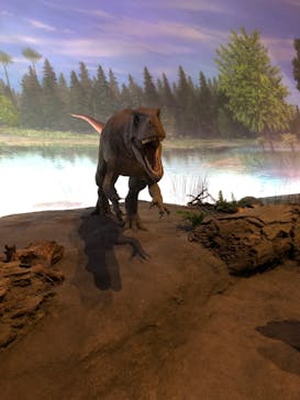 福井県立恐竜博物館に投稿された画像（2023/11/20）