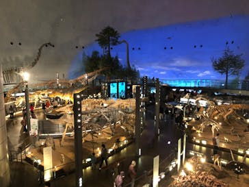 福井県立恐竜博物館に投稿された画像（2023/11/20）