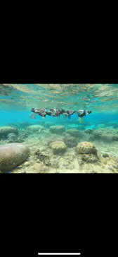 武藤潜水に投稿された画像（2023/11/20）