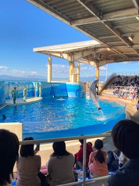 新江ノ島水族館に投稿された画像（2023/11/20）