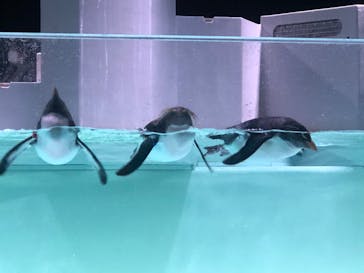 AOAO SAPPOROに投稿された画像（2023/11/20）