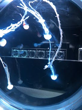 AOAO SAPPOROに投稿された画像（2023/11/20）