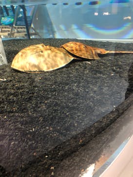 AOAO SAPPOROに投稿された画像（2023/11/20）