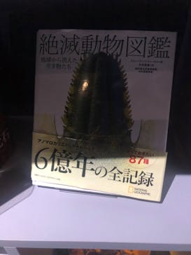 AOAO SAPPOROに投稿された画像（2023/11/20）