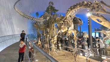 福井県立恐竜博物館に投稿された画像（2023/11/20）