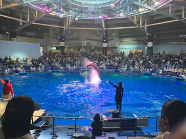 マクセル アクアパーク品川に投稿された画像（2023/11/20）