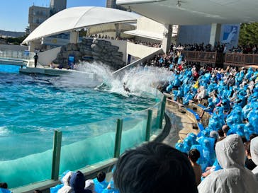 鴨川シーワールドに投稿された画像（2023/11/20）
