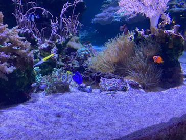 すみだ水族館に投稿された画像（2023/11/20）