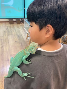 いきもの探検隊湘南に投稿された画像（2023/11/20）