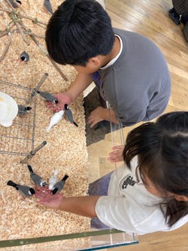 いきもの探検隊湘南に投稿された画像（2023/11/20）