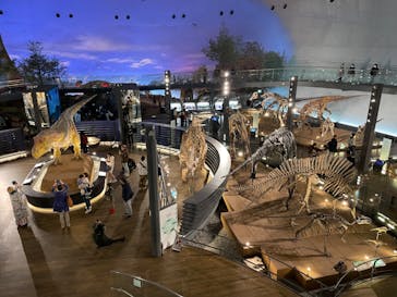 福井県立恐竜博物館に投稿された画像（2023/11/20）