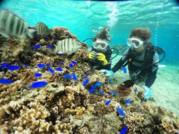 武藤潜水に投稿された画像（2023/11/20）