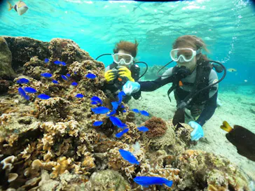 武藤潜水に投稿された画像（2023/11/20）