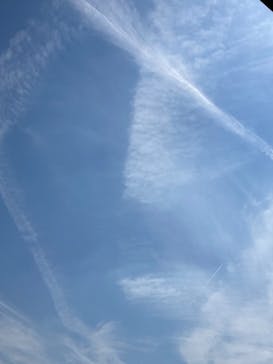 ハルカス300(展望台)に投稿された画像（2023/11/20）