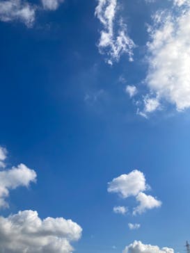 ハルカス300(展望台)に投稿された画像（2023/11/20）