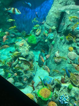 レゴランドⓇ・ジャパン・リゾートに投稿された画像（2023/11/20）