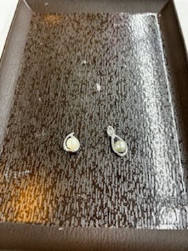 三重県真珠に投稿された画像（2023/11/20）