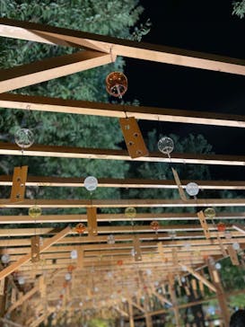 国営昭和記念公園 秋の夜散歩に投稿された画像（2023/11/20）