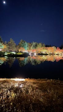 国営昭和記念公園 秋の夜散歩に投稿された画像（2023/11/20）