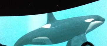 カワスイ 川崎⽔族館に投稿された画像（2023/11/20）