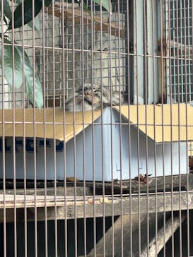 名古屋市東山動植物園に投稿された画像（2023/11/20）