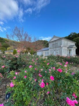 淡路ファームパーク イングランドの丘に投稿された画像（2023/11/20）