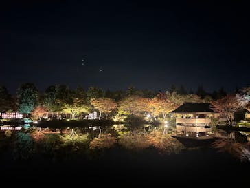 国営昭和記念公園 秋の夜散歩に投稿された画像（2023/11/20）