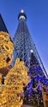 東京スカイツリーに投稿された画像（2023/11/20）