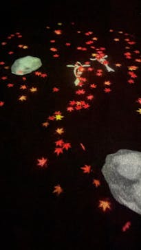 国営昭和記念公園 秋の夜散歩に投稿された画像（2023/11/20）