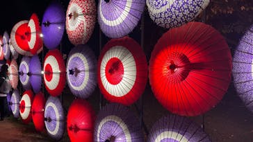 国営昭和記念公園 秋の夜散歩に投稿された画像（2023/11/20）