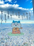 東京スカイツリーに投稿された画像（2023/11/20）