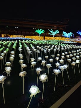 東京メガイルミに投稿された画像（2023/11/20）