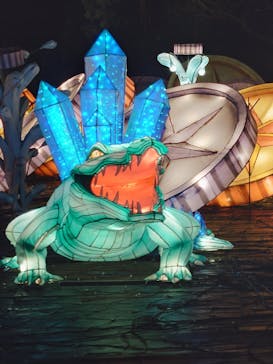 伊豆ぐらんぱる公園に投稿された画像（2023/11/20）