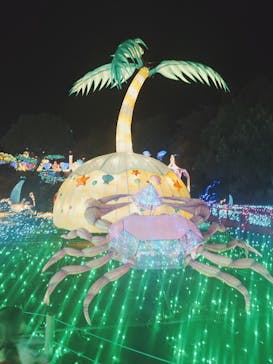 伊豆ぐらんぱる公園に投稿された画像（2023/11/20）