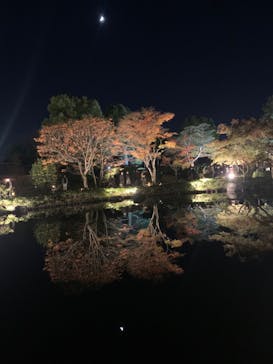 国営昭和記念公園 秋の夜散歩に投稿された画像（2023/11/20）