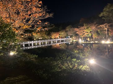 国営昭和記念公園 秋の夜散歩に投稿された画像（2023/11/20）