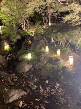 国営昭和記念公園 秋の夜散歩に投稿された画像（2023/11/20）