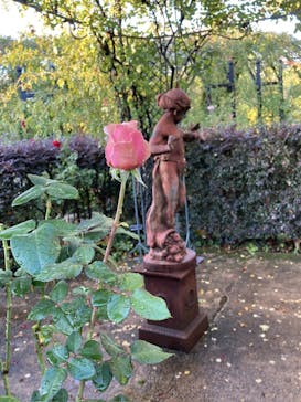 横浜イングリッシュガーデンに投稿された画像（2023/11/20）