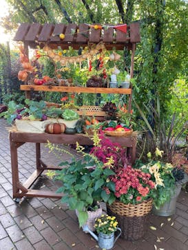 横浜イングリッシュガーデンに投稿された画像（2023/11/20）