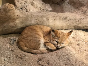 ネオパークオキナワに投稿された画像（2023/11/20）