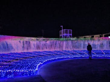 東京メガイルミに投稿された画像（2023/11/20）