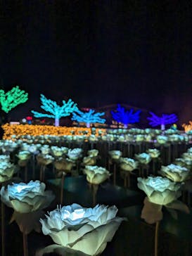 東京メガイルミに投稿された画像（2023/11/20）