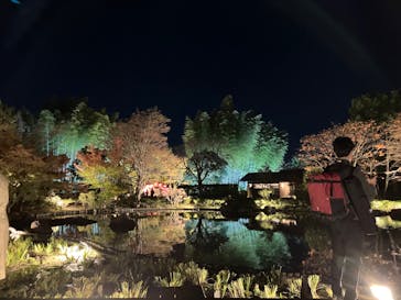 国営昭和記念公園 秋の夜散歩に投稿された画像（2023/11/20）