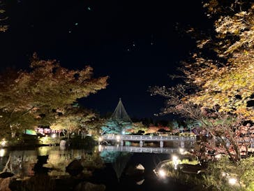 国営昭和記念公園 秋の夜散歩に投稿された画像（2023/11/20）