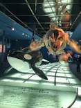 名古屋港水族館に投稿された画像（2023/11/20）
