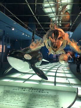 名古屋港水族館に投稿された画像（2023/11/20）