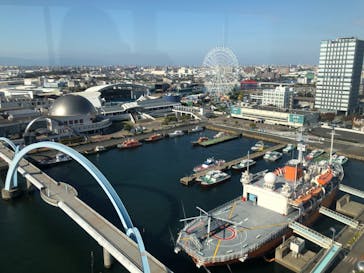 名古屋港水族館に投稿された画像（2023/11/20）