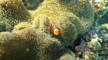 宮古島 ADVENTURE PiPi（ミヤコジマ アドベンチャー ピピ）に投稿された画像（2023/11/20）