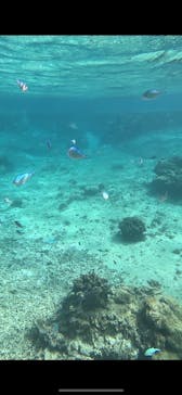 宮古島 ADVENTURE PiPi（ミヤコジマ アドベンチャー ピピ）に投稿された画像（2023/11/20）