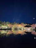 国営昭和記念公園 秋の夜散歩に投稿された画像（2023/11/20）